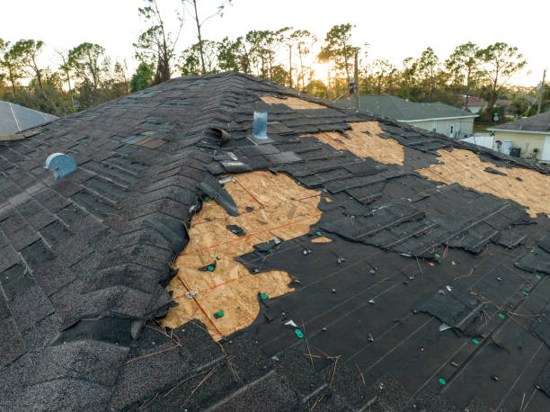 Best Storm Damage Roof Repair  in Sumiton, AL